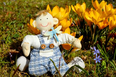 Sitting happy meadow