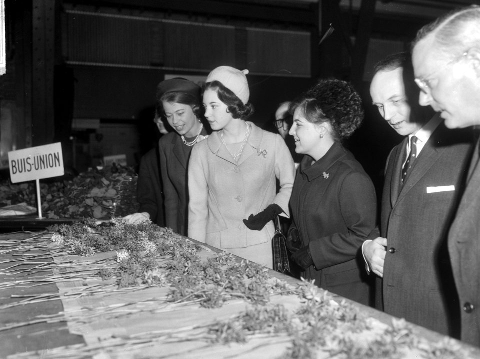 Prinses Benedikte en Prinses Margriet bezochten bloemenveiling te Aalsmeer, tijd, Bestanddeelnr 917-6308