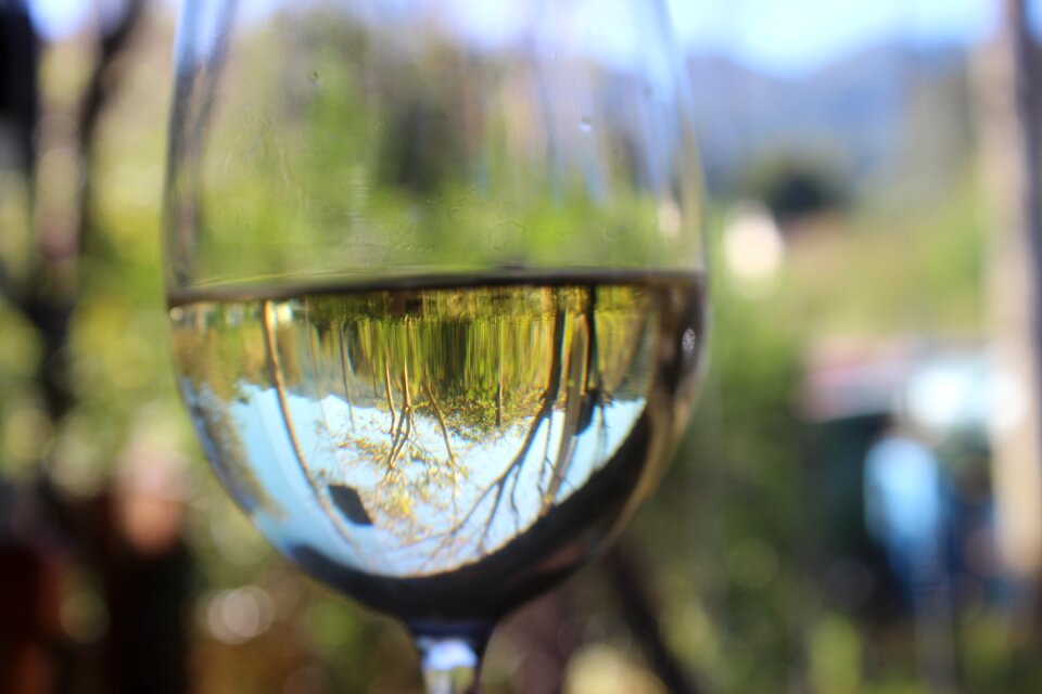 Wine white wine glass
