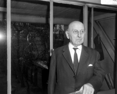 Prof. dr. F.J.J. Buytendijk (kop), Bestanddeelnr 919-0260