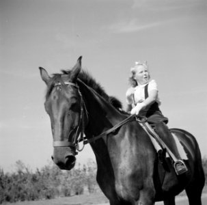 Prinses Beatrix te paard, Bestanddeelnr 255-7493