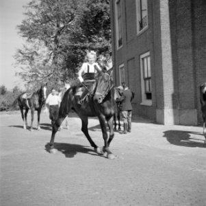 Prinses Beatrix te paard bij het paleis, Bestanddeelnr 255-7501