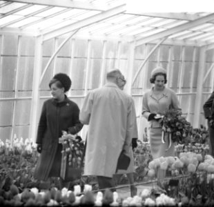 Prinses Benedikte en Prinses Magriet bezoek gebracht aan Keukenhof te Lisse, tij, Bestanddeelnr 917-6281