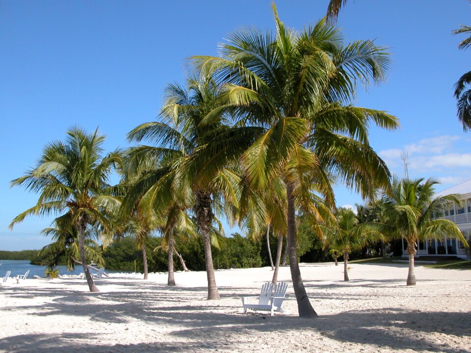Beach travel vacation