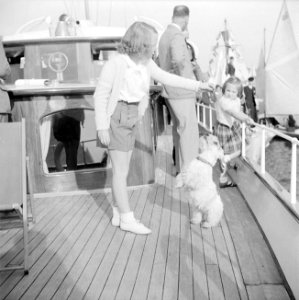 Prinses Beatrix speelt aan dek met een hond onder toeziend oog van prinses Margr, Bestanddeelnr 255-7620
