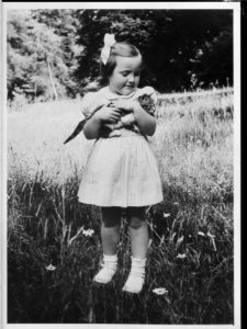 Prinses Margriet, Bestanddeelnr 255-7333
