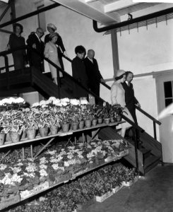 Prinses Benedikte en Prinses Margriet bezochten bloemenveiling te Aalsmeer, de P, Bestanddeelnr 917-6311