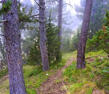 Mountain road rural road mountaineering photo