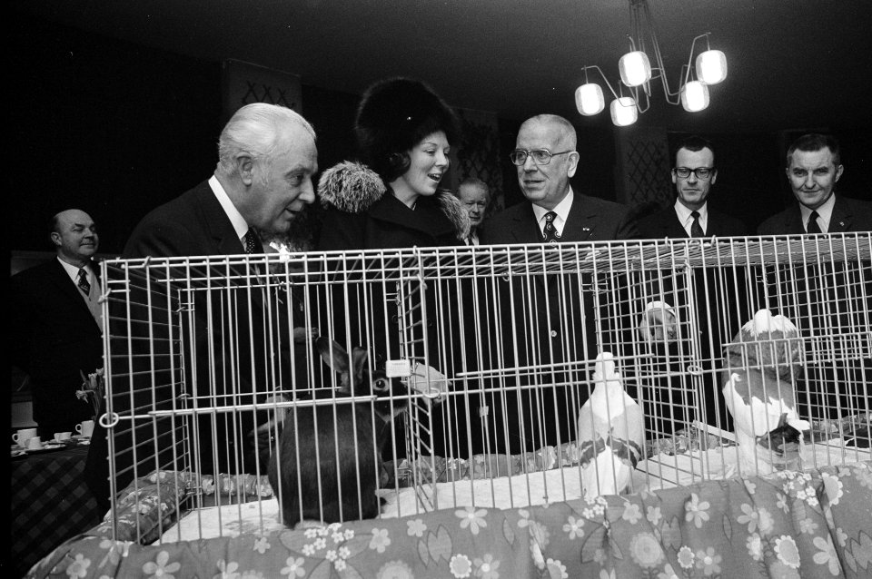 Prinses Beatrix opent 75e kleindiertentoonstelling Avicultura in Houtrusthalle, Bestanddeelnr 925-3110