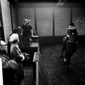 Prinses Beatrix opent Charlotte-oord in Tilburg in de manege, Bestanddeelnr 927-0660