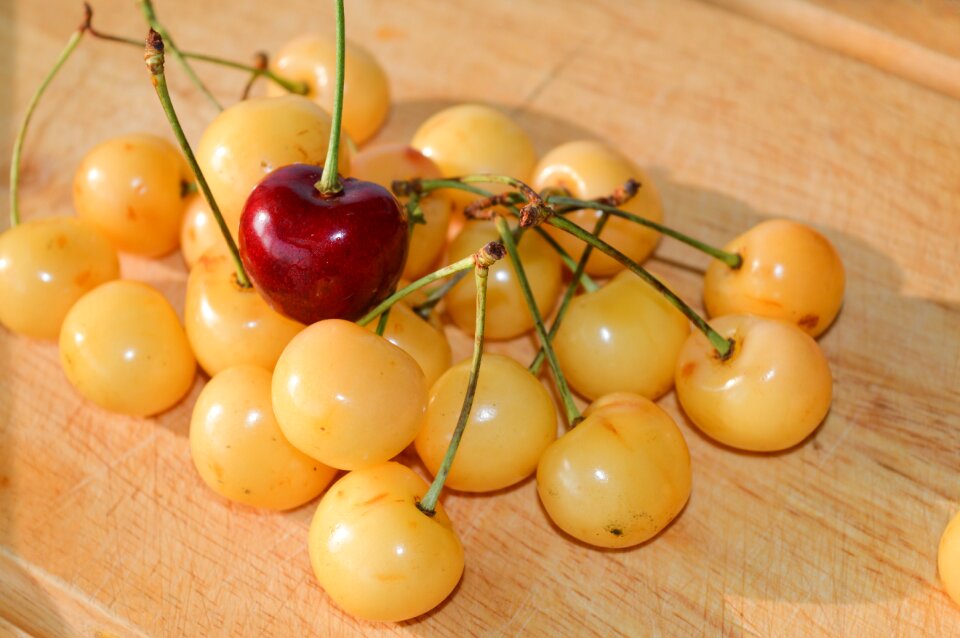 A handful of cherries berry cherry