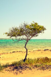 Beach sea landscape