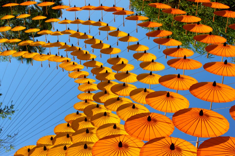 Design summer outdoor