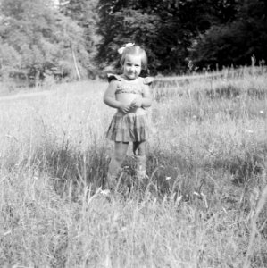 Prinses Margriet in een weiland, Bestanddeelnr 255-7834