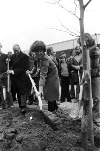 Prinses Margriet graaft een kuil voor een plantaan, Bestanddeelnr 929-0736