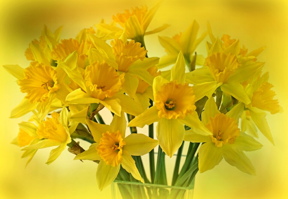 Spring bouquet flora