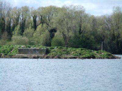 PrioryParkBirdIsland1