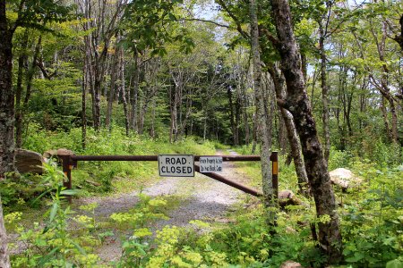 Private road, Hooper Bald September 2019