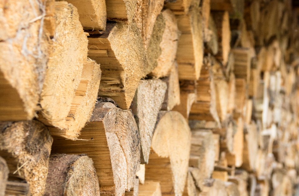 Dry wood background wood structure