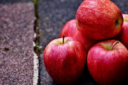 Fruit ripe red apple