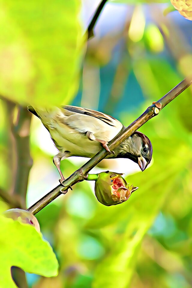 Eat birds crop