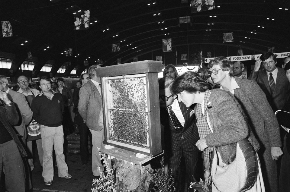 Prinses Margriet op de tentoonstelling, Bestanddeelnr 931-0432