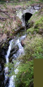 Prinzenteich-09