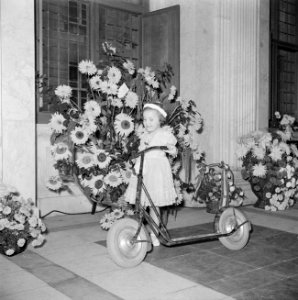 Prinses Margriet met een autoped, Bestanddeelnr 255-7546