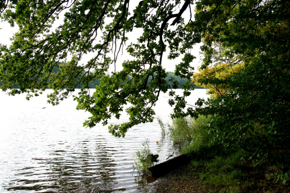 Postweiher Westerwald Germany