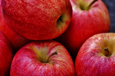 Fruit ripe red apple