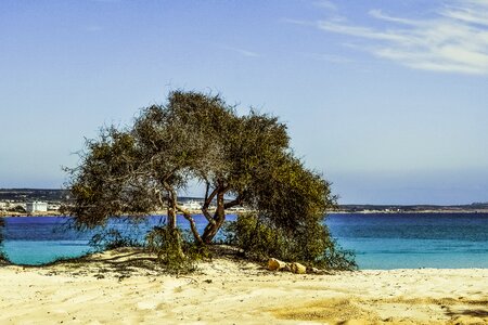 Blue island scenery