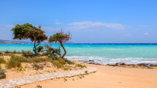 Sea beach nature