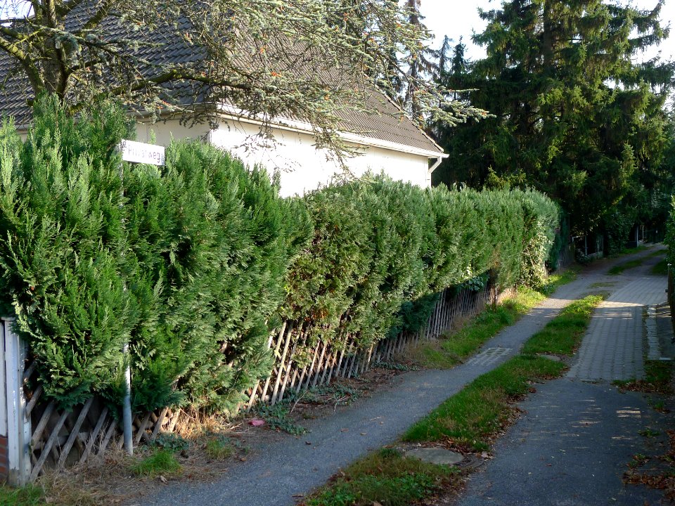 Privatweg (Berlin-Lankwitz)