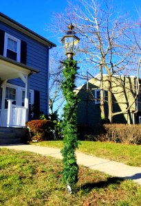 Post light fixture - Arlington, MA - 20201203 092113