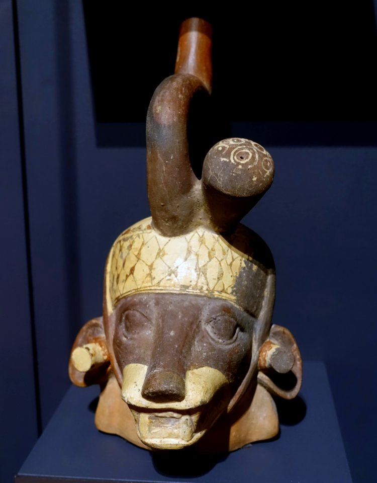 Pot in the form of an animal head and face, Nasca, La Libertad region, Peru, ceramic - Meso-American collection - Peabody Museum, Harvard University - DSC05954