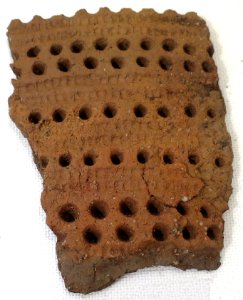 Pot fragment from Bolshaya Muksalma Island, Solovetsky Monastery V