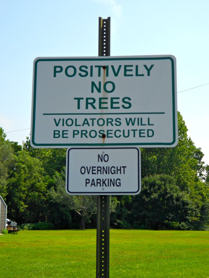 Positively no trees, Leesport PA