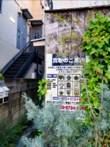 Poster of a company offering to buy ancient Japanese items
