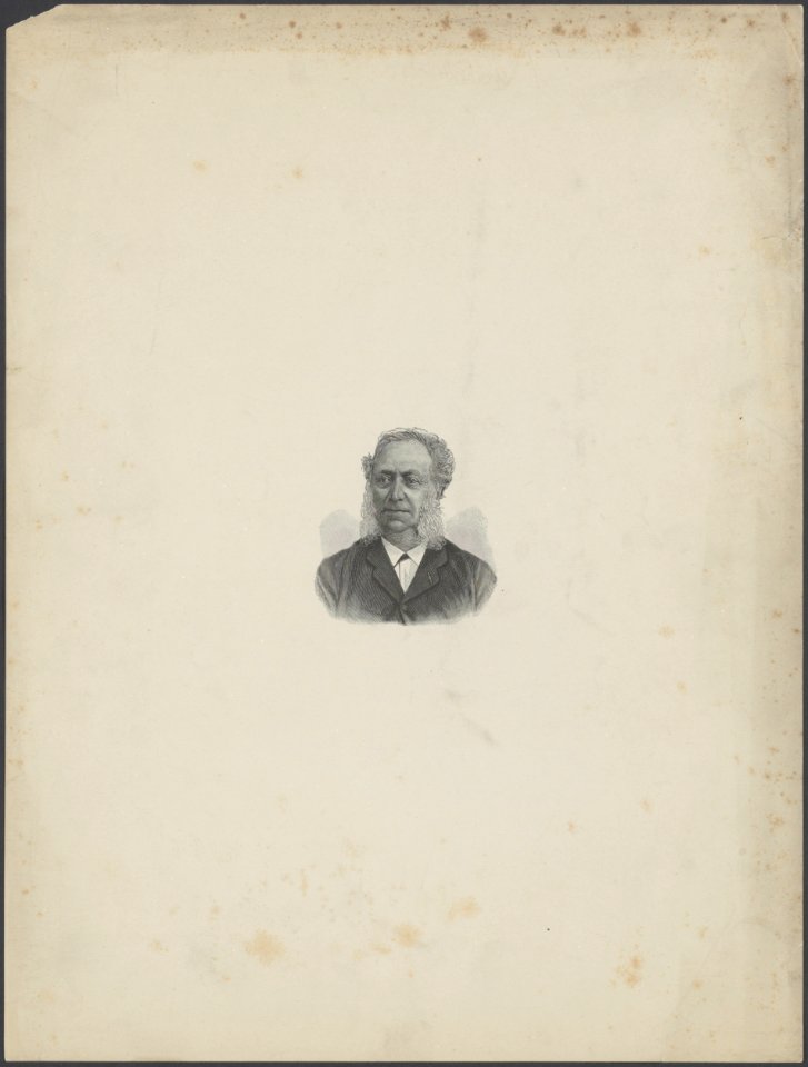 Portret van Peter Wilhelm Janssen (1821-1903) (oprichter Deli Maatschappij), Bestanddeelnr 853 04