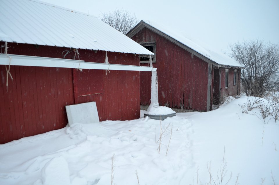 Post Feb 2015 cold wave, snow and ice
