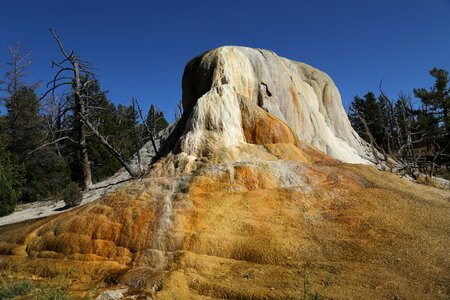 Geyser yellowstone usa