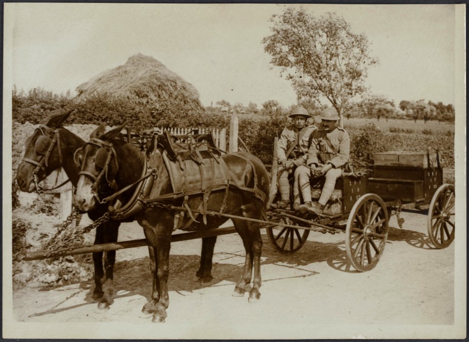 Portugese ammunition wagon, Bestanddeelnr 158-1663