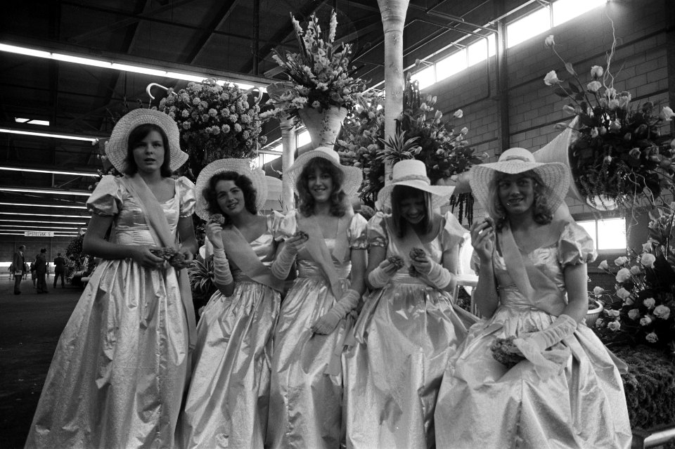 Praalwagens voor bloemencorso in veilinggebouw te Aalsmeer bloemenkoningin, Bestanddeelnr 925-8786