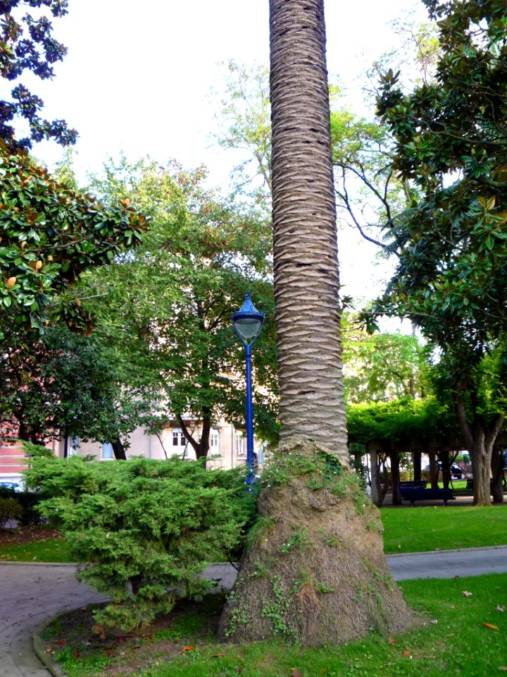Portugalete - Parque del Doctor Areilza 07