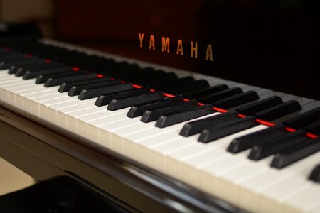 Yamaha music black and white photo