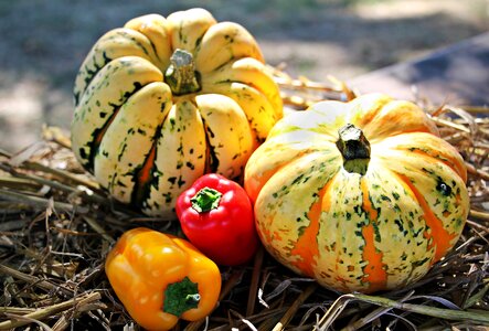 Autumn autumn decoration decoration
