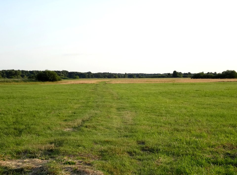 Pradocin meadow1 7-2015