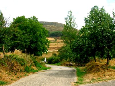 Pradanos del Tozo 40