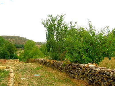 Pradanos del Tozo 03
