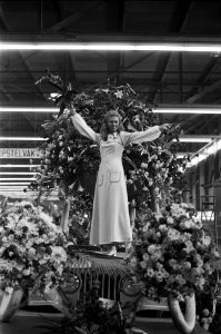 Praalwagens voor bloemencorso in veilinggebouw te Aalsmeer bloemenkoningin, Bestanddeelnr 925-8784